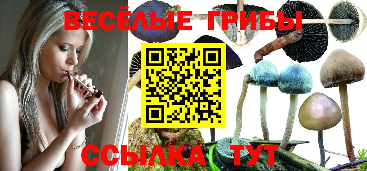 Галлюциногенные грибы MAGIC MUSHROOMS  Вход с VPN  Псилоцибиновые грибы Magic Shrooms  Вологда 
