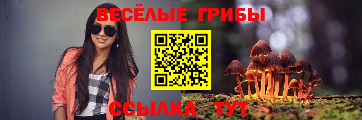 Галлюциногенные грибы Psilocybe Вологда